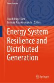 Energy System Resilience and Distributed Generation (eBook, PDF)