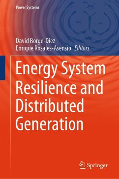 Energy System Resilience and Distributed Generation (eBook, PDF)