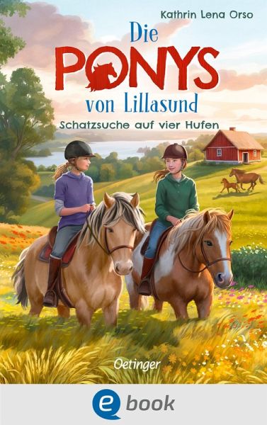 Schatzsuche auf vier Hufen / Die Ponys von Lillasund Bd.2 (eBook, ePUB)