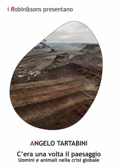 Cover C'era una volta il paesaggio (eBook, ePUB)