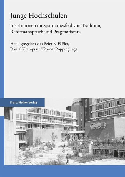 Junge Hochschulen (eBook, PDF)