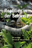 Reptilien in der Schweiz Reptilien in der Schweiz