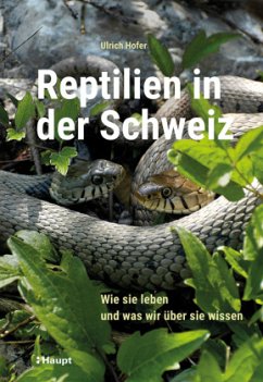 Reptilien in der Schweiz - Hofer, Ulrich