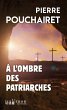 À l'ombre des patriarches (eBook, ePUB) - Bild 1