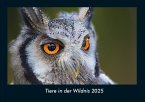 Tiere in der Wildnis 2025 Fotokalender DIN A4