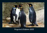 Pinguine & Eisbären 2025 Fotokalender DIN A4 Pinguine & Eisbären 2025 Fotokalender DIN A4