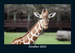 Cover Giraffen 2025 Fotokalender DIN A5