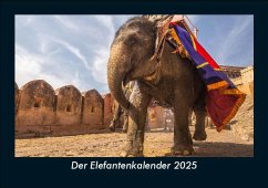 Cover Der Elefantenkalender 2025 Fotokalender DIN A5