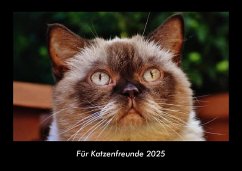 Cover Für Katzenfreunde 2025 Fotokalender DIN A3