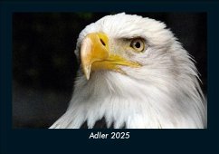 Adler 2025 Fotokalender DIN A5 - Tobias Becker