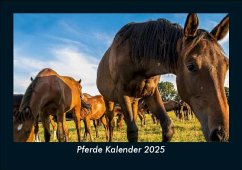 Cover Pferde Kalender 2025 Fotokalender DIN A5