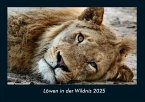 Löwen in der Wildnis 2025 Fotokalender DIN A4