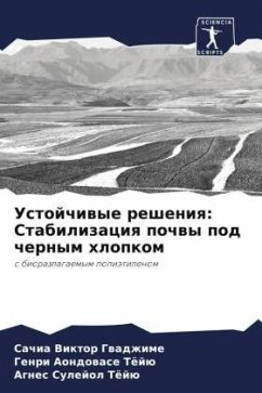 Cover Ustojchiwye resheniq: Stabilizaciq pochwy pod chernym hlopkom