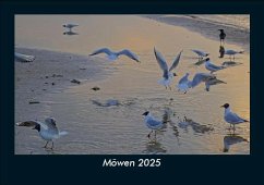 Cover Möwen 2025 Fotokalender DIN A5