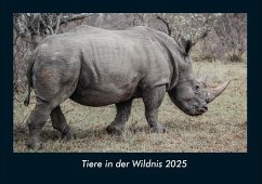 Cover Tiere in der Wildnis 2025 Fotokalender DIN A4