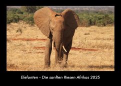 Cover Elefanten - Die sanften Riesen Afrikas 2025 Fotokalender DIN A3