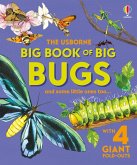 Big Book of Big Bugs Big Book of Big Bugs