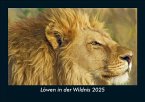 Löwen in der Wildnis 2025 Fotokalender DIN A5