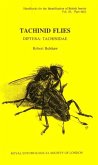 Tachinid Flies Tachinid Flies