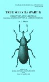 True Weevils (Part I)