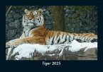 Tiger 2025 Fotokalender DIN A5