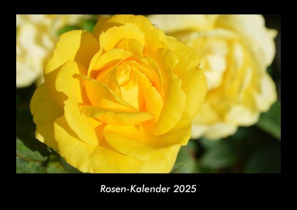 Rosen-Kalender 2025 Fotokalender DIN A3