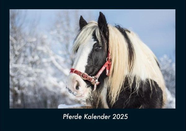 Pferde Kalender 2025 Fotokalender DIN A4 Pferde Kalender 2025 Fotokalender DIN A4