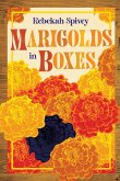 Marigolds in Boxes Marigolds in Boxes