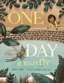 One Day a Mayfly One Day a Mayfly