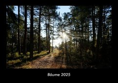 Cover Bäume 2025 Fotokalender DIN A3