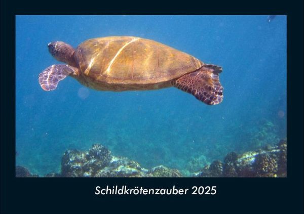 Schildkrötenzauber 2025 Fotokalender DIN A4 Schildkrötenzauber 2025 Fotokalender DIN A4