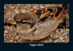 Cover Vögel 2025 Fotokalender DIN A5