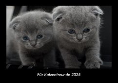 Cover Für Katzenfreunde 2025 Fotokalender DIN A3