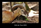 Welt der Tiere 2025 Fotokalender DIN A3 Welt der Tiere 2025 Fotokalender DIN A3