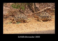 Cover Schildkrötenzauber 2025 Fotokalender DIN A3