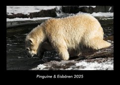 Pinguine & Eisbären 2025 Fotokalender DIN A3 - Tobias Becker