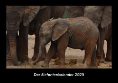 Cover Der Elefantenkalender 2025 Fotokalender DIN A3