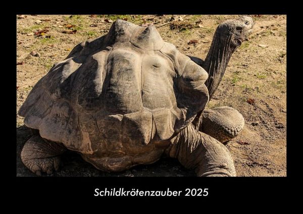 Schildkrötenzauber 2025 Fotokalender DIN A3 Schildkrötenzauber 2025 Fotokalender DIN A3