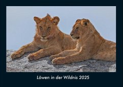 Cover Löwen in der Wildnis 2025 Fotokalender DIN A4
