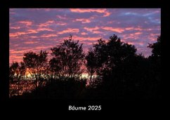 Cover Bäume 2025 Fotokalender DIN A3