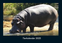 Cover Tierkalender 2025 Fotokalender DIN A4