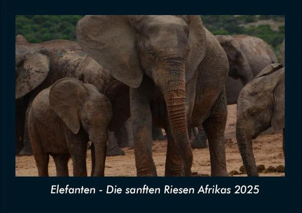 Elefanten - Die sanften Riesen Afrikas 2025 Fotokalender DIN A4 Elefanten - Die sanften Riesen Afrikas 2025 Fotokalender DIN A4