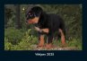Welpen 2025 Fotokalender DIN A4 - Bild 1