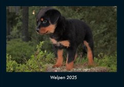 Cover Welpen 2025 Fotokalender DIN A4