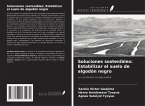Soluciones sostenibles: Estabilizar el suelo de algodón negro