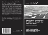 Soluciones sostenibles: Estabilizar el suelo de algodón negro Soluciones sostenibles: Estabilizar el suelo de algodón negro