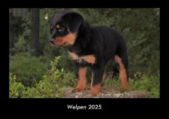 Cover Welpen 2025 Fotokalender DIN A3