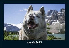 Cover Hunde 2025 Fotokalender DIN A5