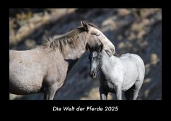 Cover Die Welt der Pferde 2025 Fotokalender DIN A3