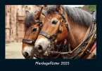 Pferdegeflüster 2025 Fotokalender DIN A4 Pferdegeflüster 2025 Fotokalender DIN A4